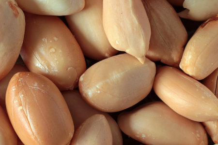 macro close-up of peanuts. photo for textures, backgrounds and patterns. Natural food. Basic...