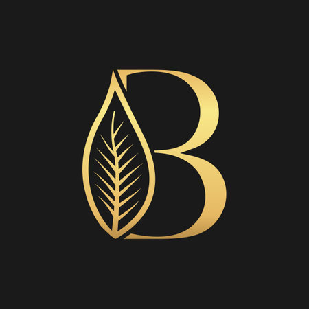 Luxury Letter B logo design Templateのイラスト素材