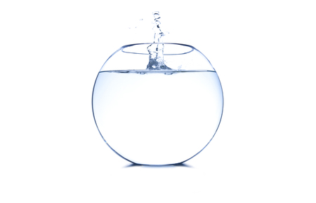 fishbowl with water isolated on white backgroundの写真素材