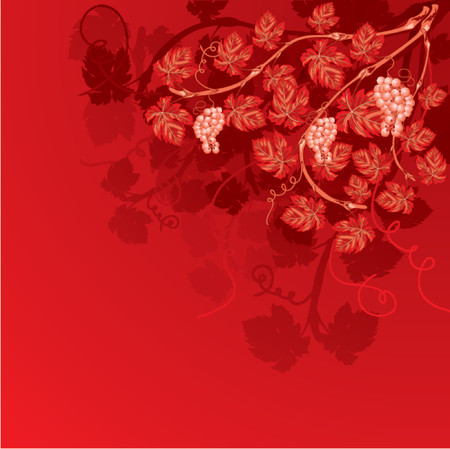 Vine background with grapes, element for design, vector illustrationのイラスト素材