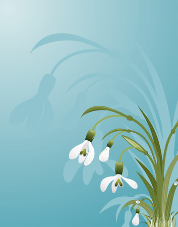 Flower background with snowdrop, element for design, vector illustrationのイラスト素材