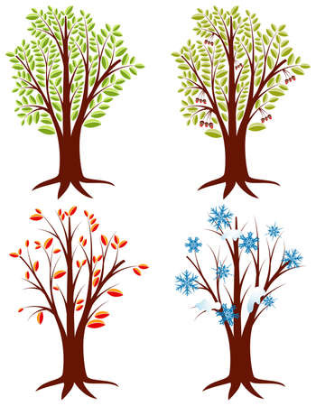 Four trees in different seasons, element for designのイラスト素材