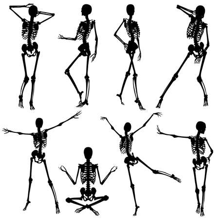 Collect silhouettes skeletons woman in different poses, vector illustration, element for designのイラスト素材