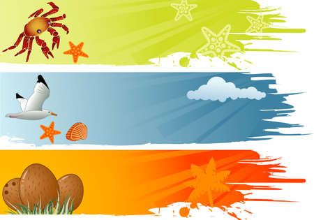 Three summer banner with coconut, dolphin, crab, starfish, seagull vector illustrationのイラスト素材