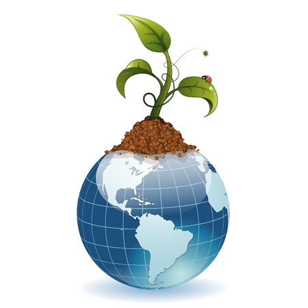 Young Green Sprout from the Earth with Water Drops and Ladybugのイラスト素材