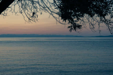 beautiful photo of a sunset over the sea behind the branches of a treeの写真素材