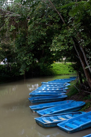 Blue boats are parking in the green forest の写真素材