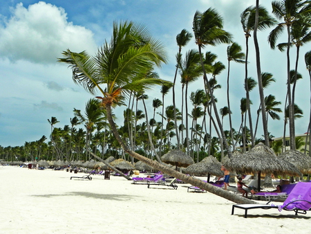 Vacation at the Caribbean coast- Punta Cana, Dominican Republicのeditorial素材