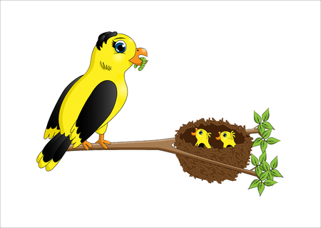 Cartoon mother bird feeding chicks in the nest on a white backgroundのイラスト素材