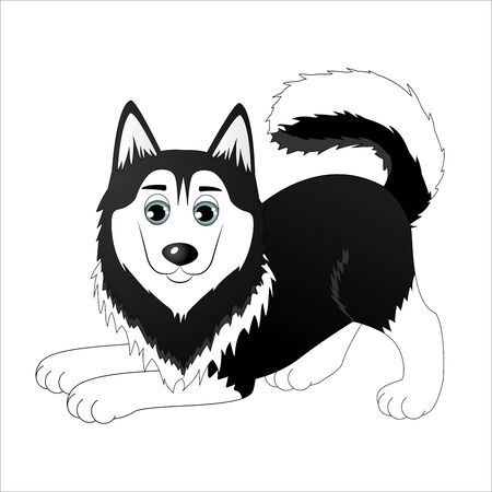 Cute cartoon huskyのイラスト素材
