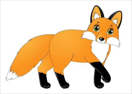 cute cartoon foxのイラスト素材
