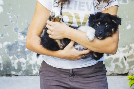 woman holding a black and white mixed race dog