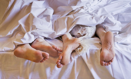yung caucasian couple in love under blanketの写真素材