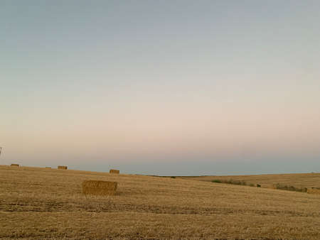 Blue orange sky over fieldの写真素材