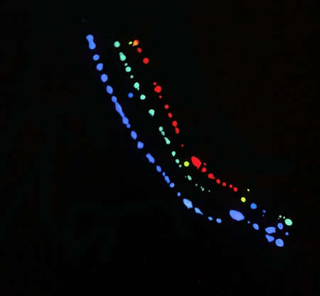 Messy and blurry wall with neon colored liquidの写真素材