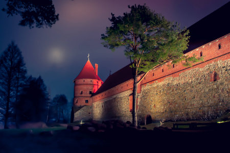 Trakai Island Castle is an island castle located in Trakai, Lithuania on an island in Lake Galve....