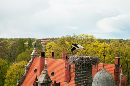 Cesvaine castle, which locals called "Castle of Dreams"のeditorial素材