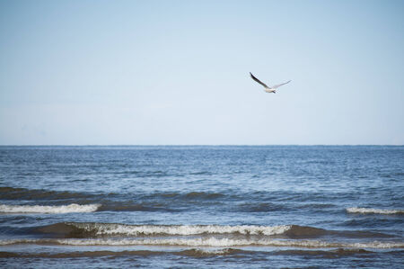 The Baltic Sea is a mediterranean sea located between Central and Northern Europeの写真素材