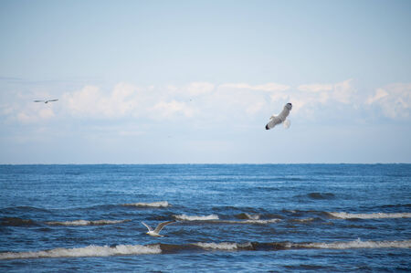 The Baltic Sea is a mediterranean sea located between Central and Northern Europeの写真素材