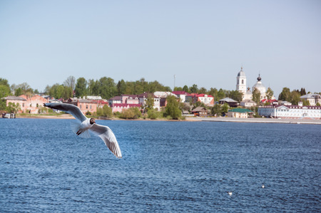 Myshkin is a town and the administrative center of Myshkinsky District in Yaroslavl Oblast, Russia, located on the steep left bank of the Volga. Seagull near boat.の写真素材