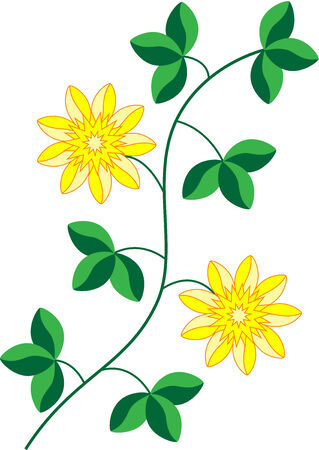 Beautiful vector illustration of a yellow flowers and green leaves, isolatedのイラスト素材