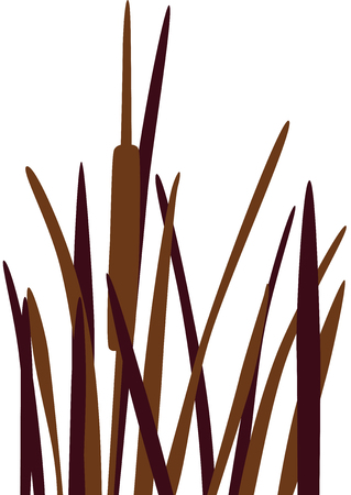 Reed Grass silhouette, isolated.のイラスト素材