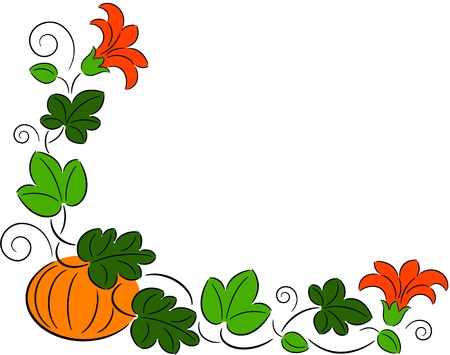 Illustration of ripe pumpkin with leaves and flowers, isolatedのイラスト素材
