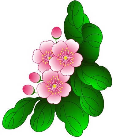 Blooming beauty of spring flower, isolated  Vector illustrationのイラスト素材