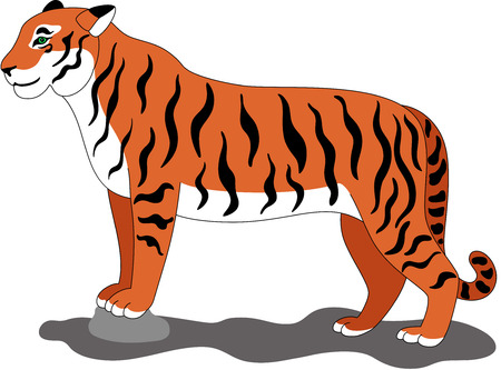 Illustration of a wild tiger, isolatedのイラスト素材