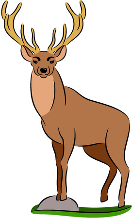illustration of a wild deer, isolatedのイラスト素材