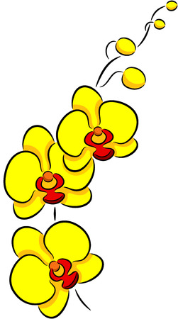 Illustration of a orchid flower, isolatedのイラスト素材
