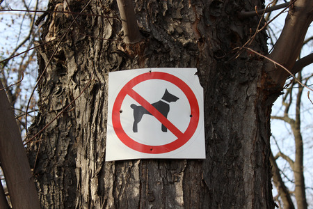 Sign prohibiting dog walking in a parkの写真素材
