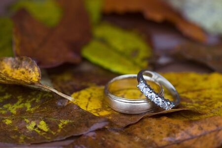 Autumn Wedding Rings 2の写真素材