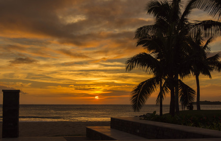 Sunset and palm trees on the coastの写真素材