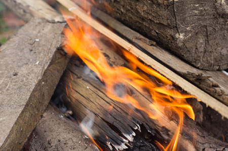 The wood burning in a bonfire close up