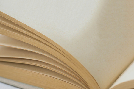 Book open to a blank page close up