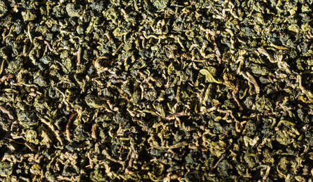 Background of green tea leaves lit by the sun