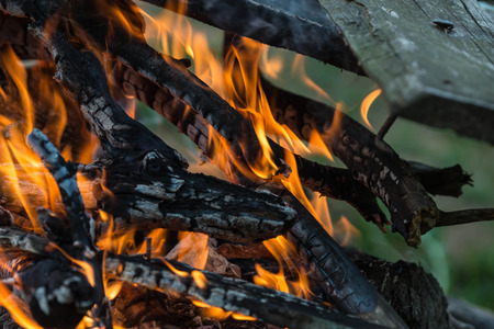 Bright flame of the burning bonfire