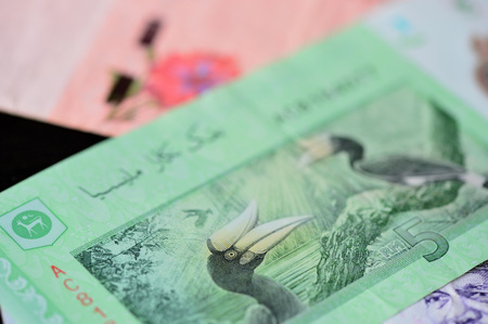 Banknote of five Malaysian ringgits close up