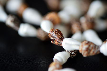 Long necklace of seashells on a dark backgroundの写真素材