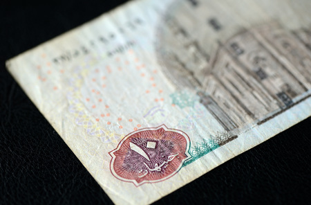 Ten Egyptian pounds on a dark background closeupの写真素材