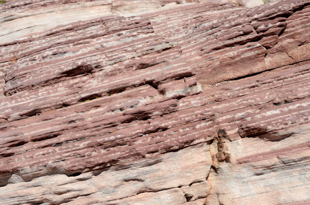 Texture of Rock Wall in  Rock Canyon, Nevada