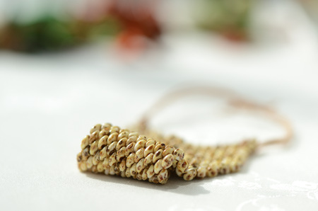 Handmade beaded bracelet with leather closure close upの写真素材