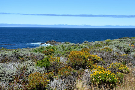 Pacific Coast along the California State Route One, California, USAの写真素材