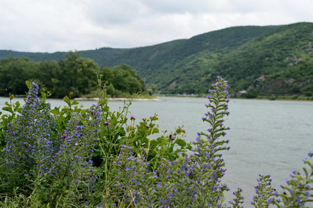 Rhine river in cloudy weather, Germany