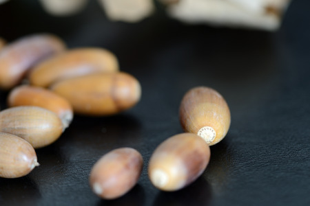 Acorns and dry oak leaves on a dark background close up