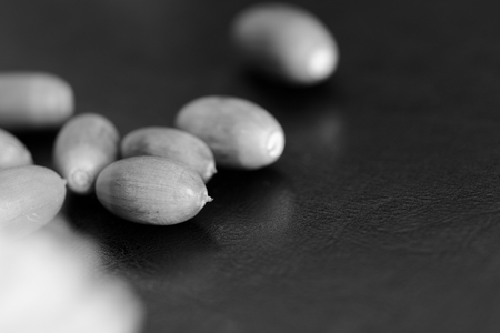 Acorns and dry oak leaves on a dark background close up. Black and whiteの写真素材