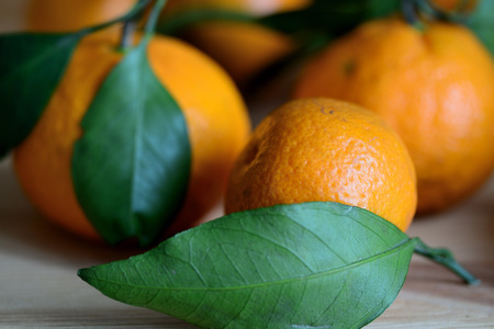 Ripe tangerines with leaves on a wooden background