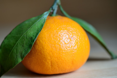 Ripe tangerines with leaves on a wooden background