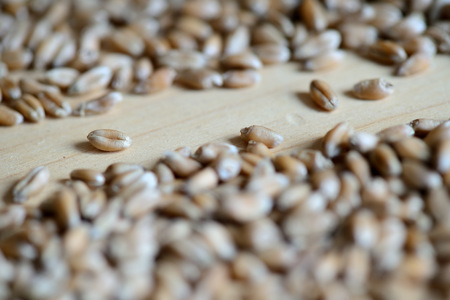 Scattered wheat grains on wooden background close up